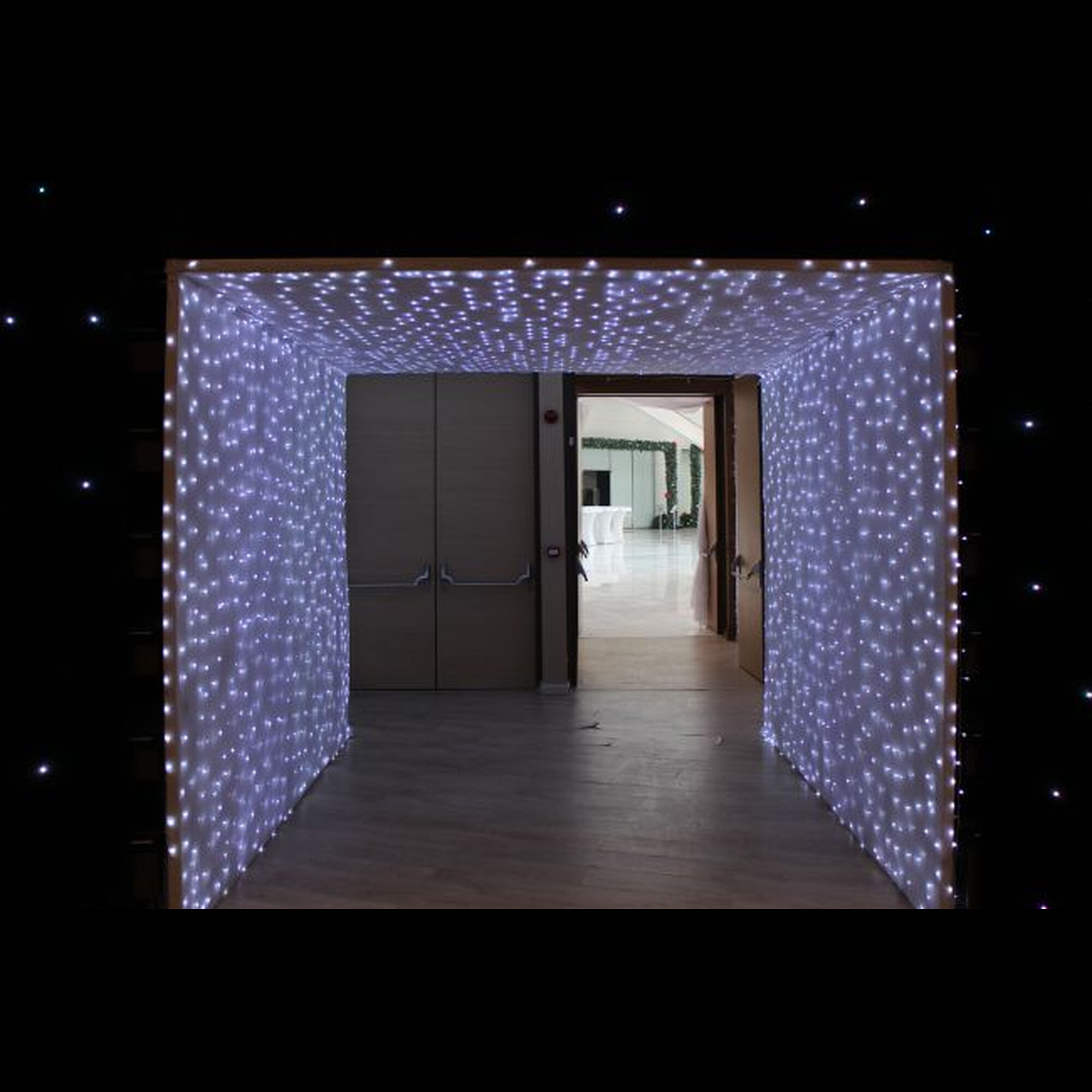 Гирлянда светодиодная 