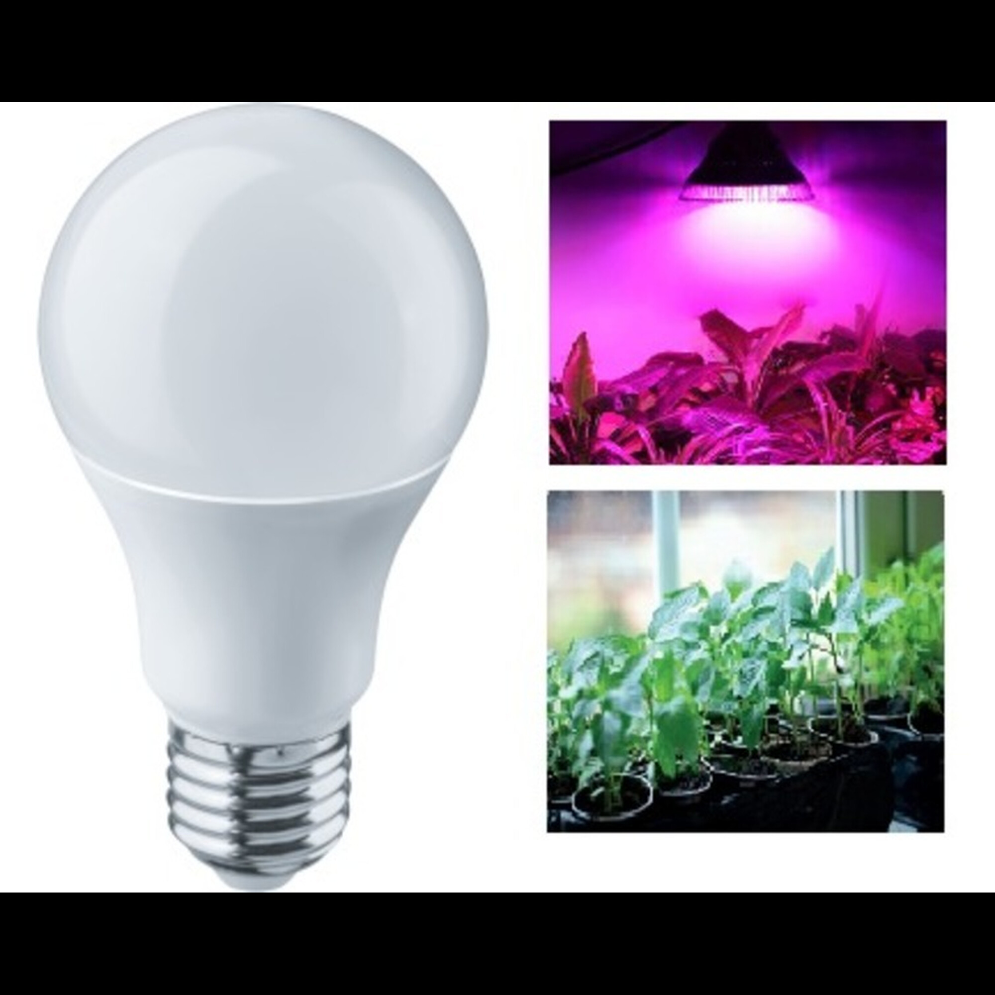 Лампа PPG A60 Agro 15w FROST E27 IP20  (для растений) Jazzway