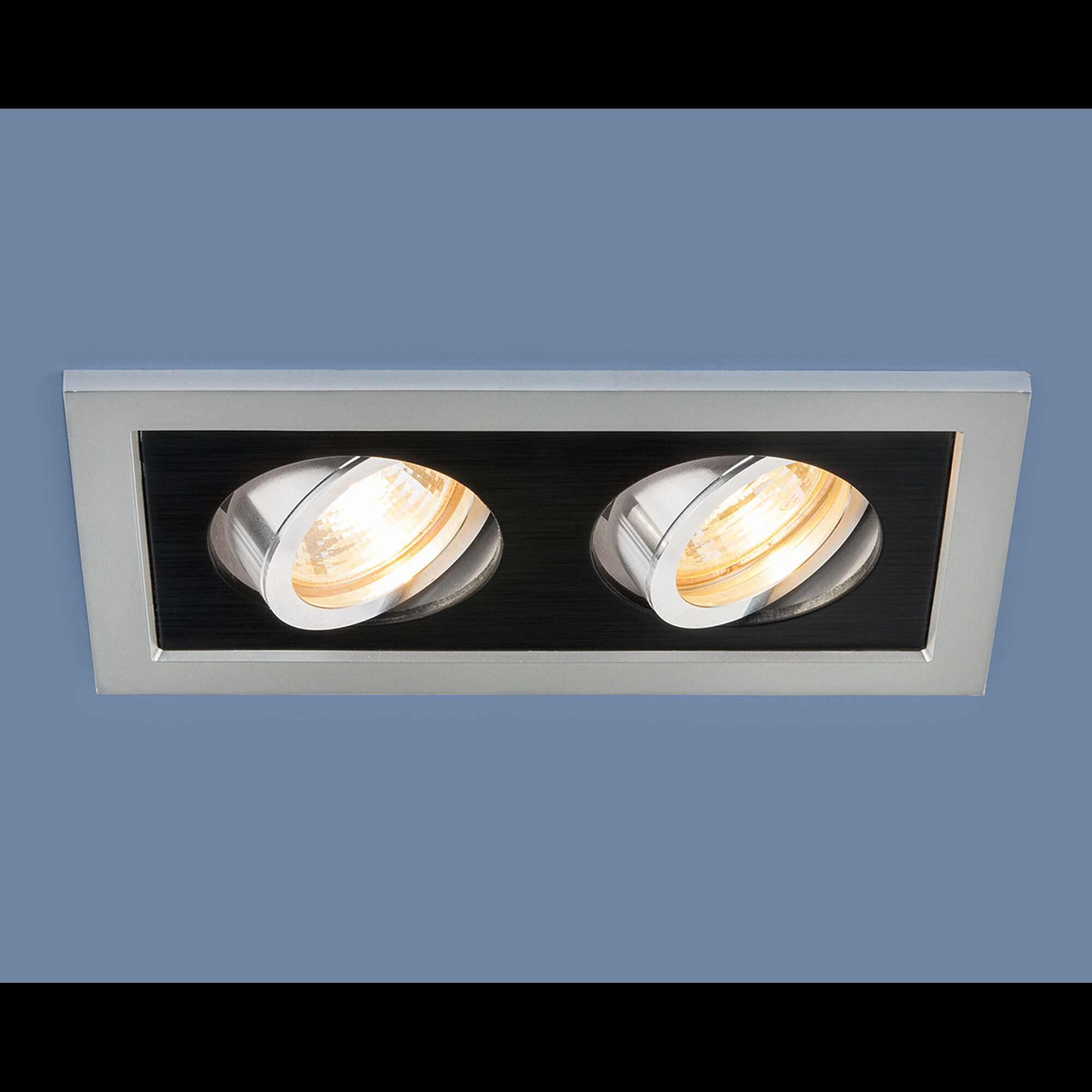 Светильник встраиваемый поворотный 1031/2 MR16 серебро/чёрный Elektrostandard (распродажа)