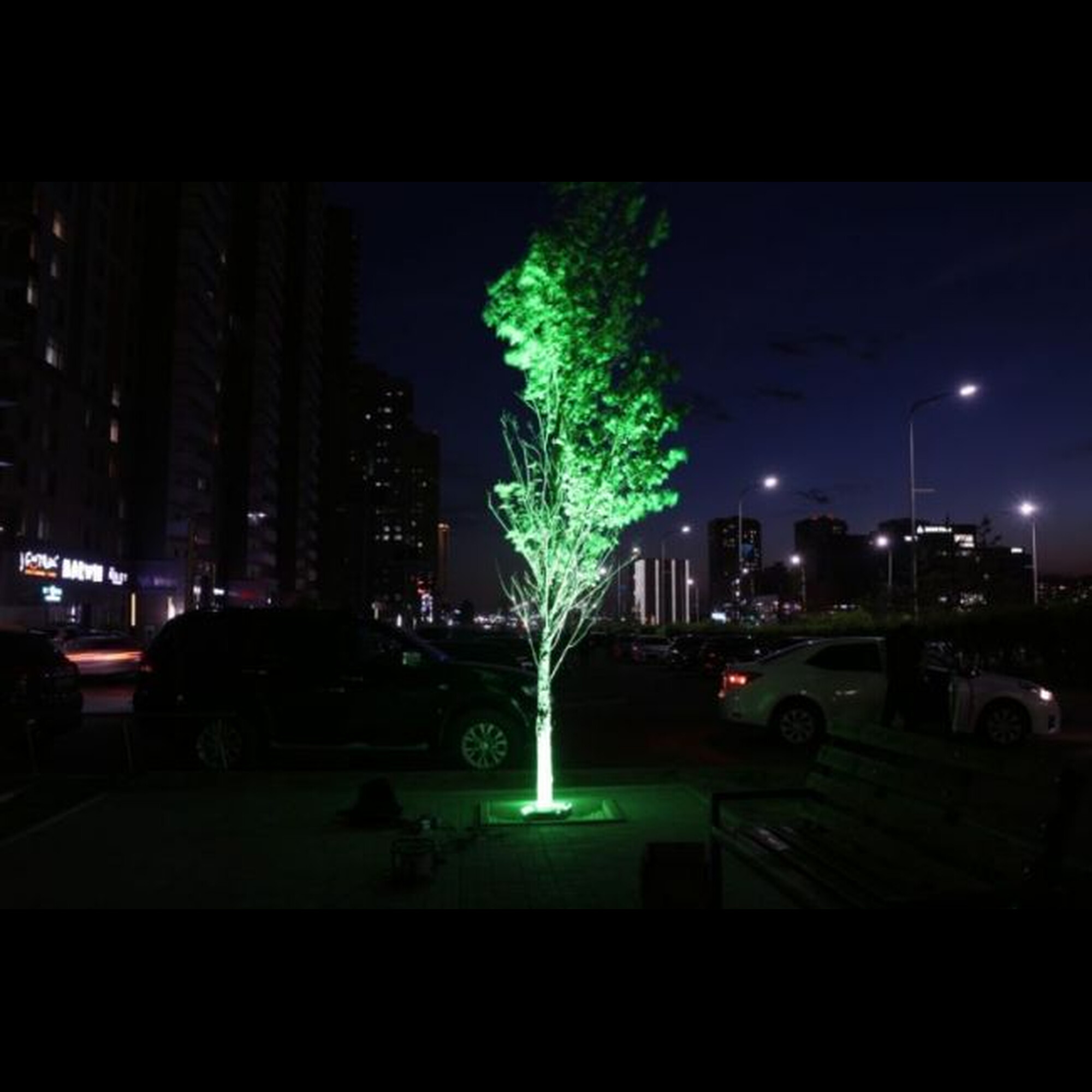 Прожектор архитектурный FCT 220В 18Вт Зелёный 30° SignImpress