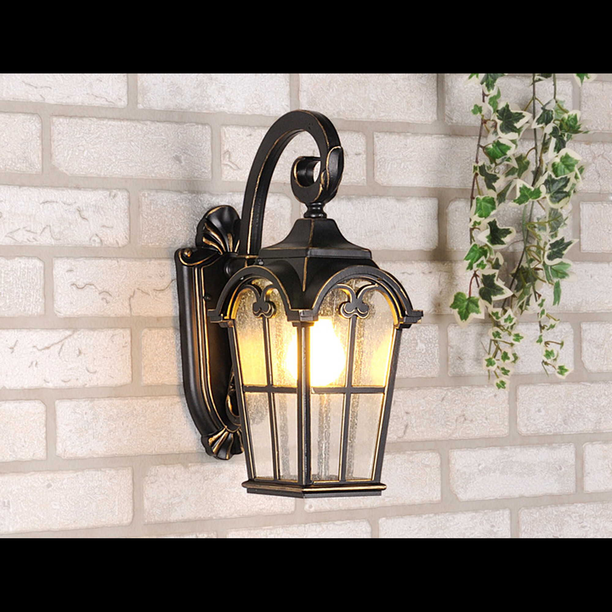 Светильник настенный декоративный Е27 60W IP44 Mira D черное золото Elektrostandard