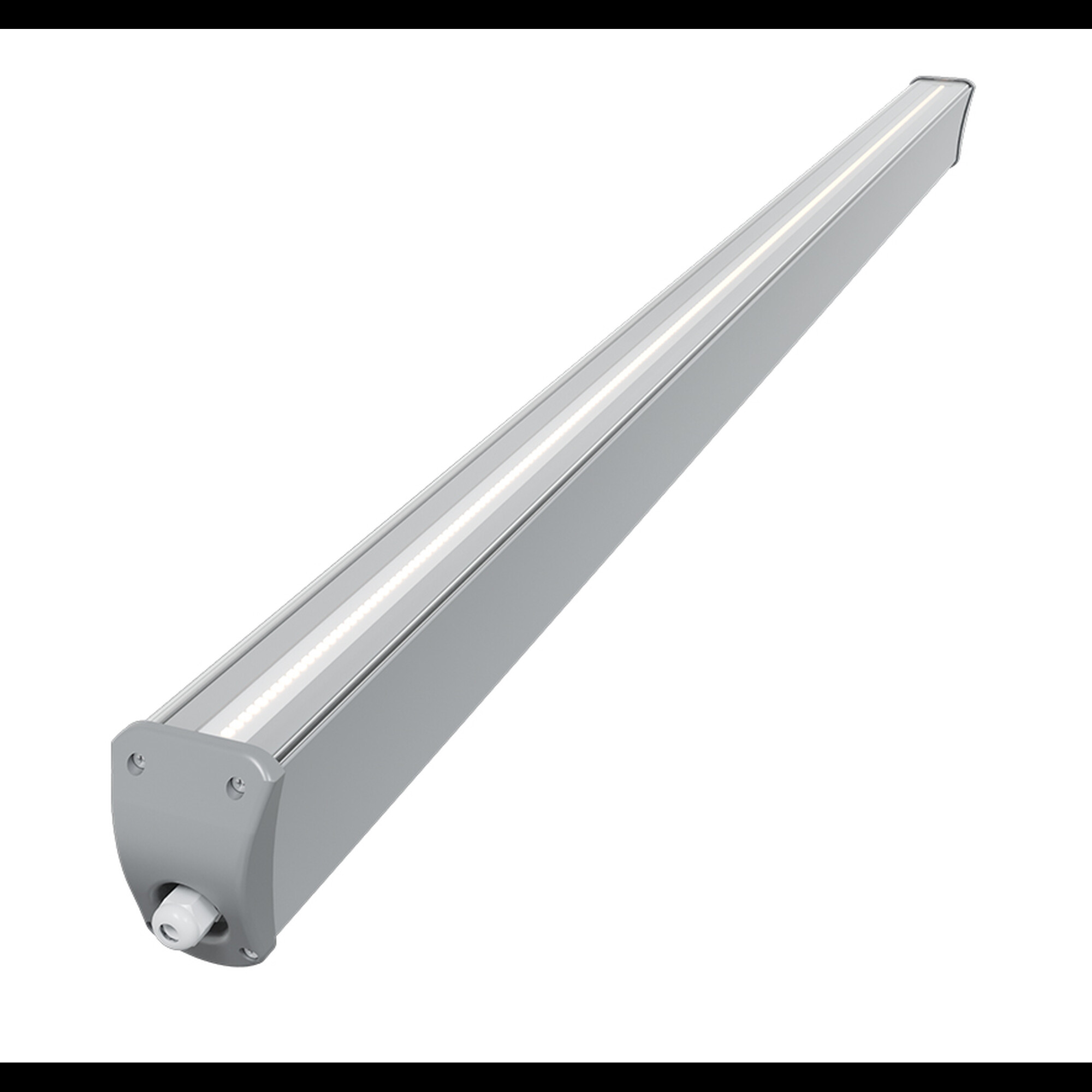 Светильник пылевлагозащищенный FG 55 55W 5000K Faros