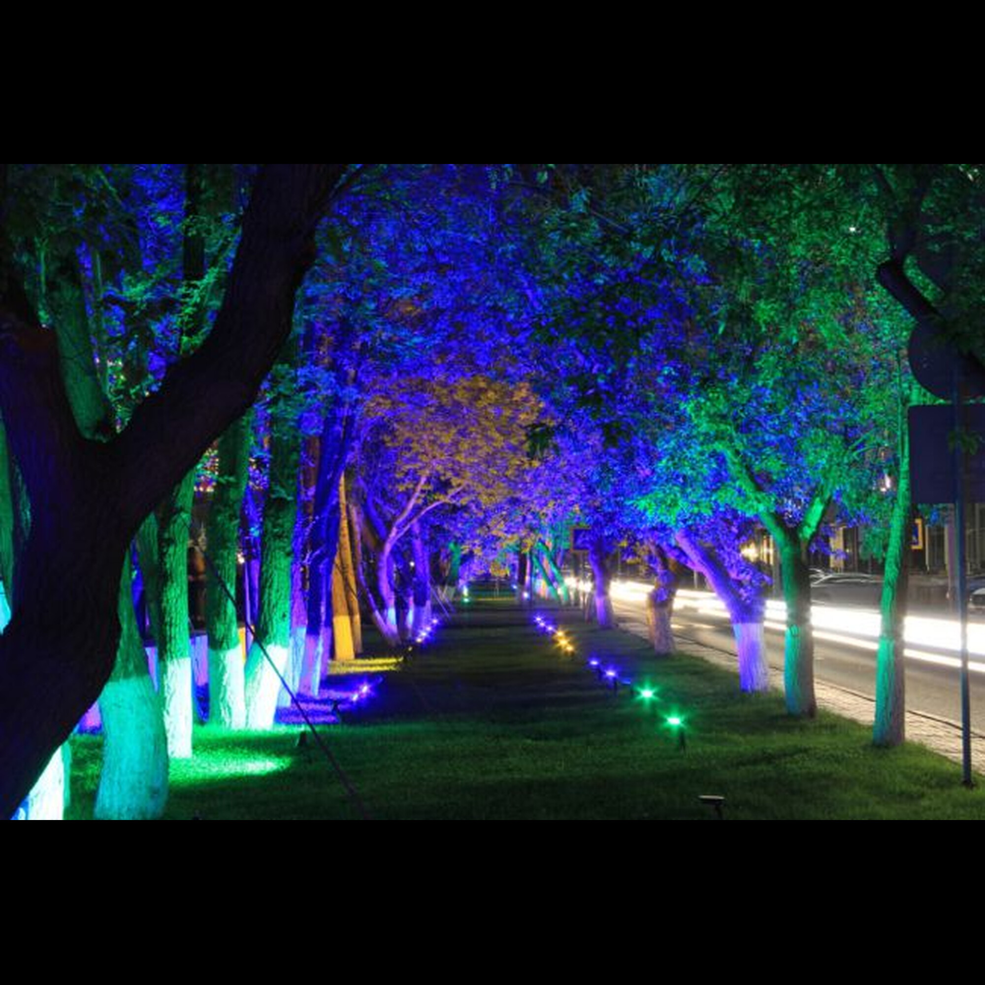 Прожектор светодиодный заливного света TGD 30Вт Зелёный SignImpress