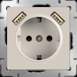Розетка с заземлением, шторками и USBх2 (слоновая кость)  / WL03-SKGS-USBx2-IP20 (распродажа)