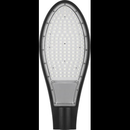 Светильник консольный 50LED*50W - 6400К AC230V/ 50Hz цвет черный (IP65), SP2926 Feron (распродажа)