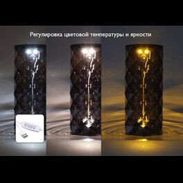 Светильник ФАZА CTL3-USB Настольный черный кристалл