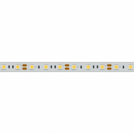 Светодиодная лента RTW 2-5000PS 12V White6000 2x (5060, 300 LED, LUX) ( 14.4 Вт/м, IP67) Arlight